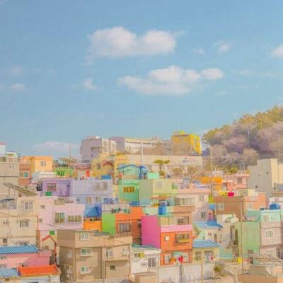 南宫28下载手机版