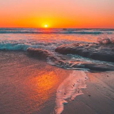 金沙集团186cc成色