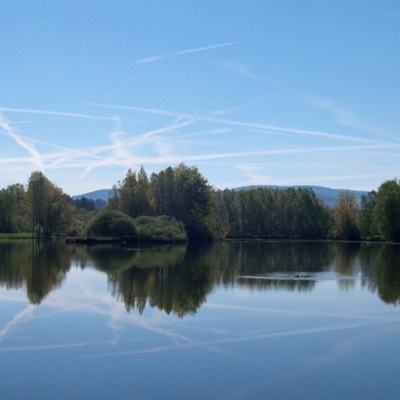 leyu·乐鱼体育下载手机版