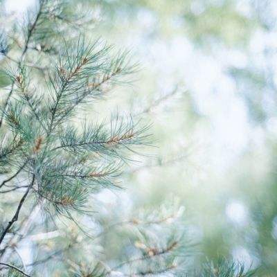 ROR体育app官方下载