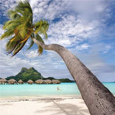 kaiyun体育全站下载手机版