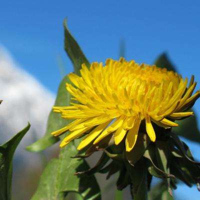 澳门最准最快资料网站下载