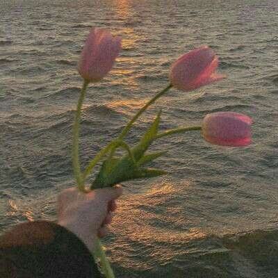 云开平台APP官方全站APP入口app下载