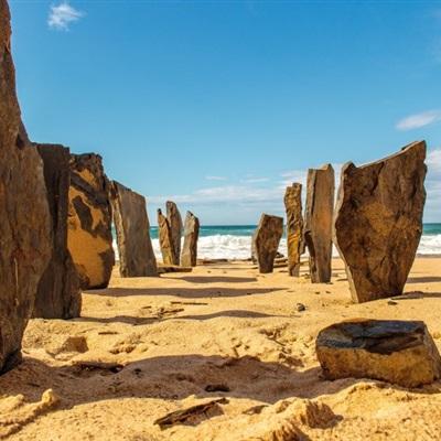 凤凰彩票下载中心