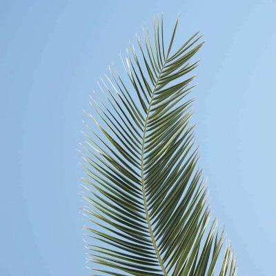 爱游戏平台app下载