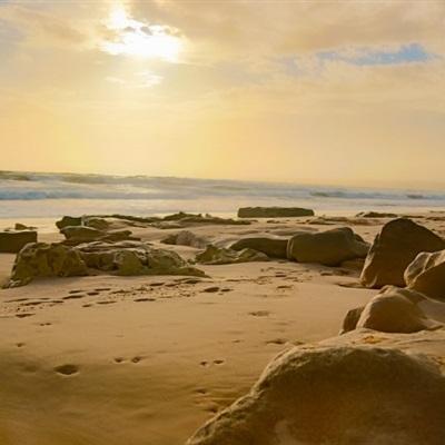 北单足球官网首页