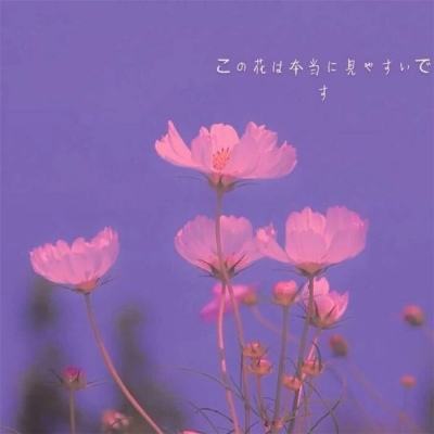 乐鱼官网手机版下载手机版