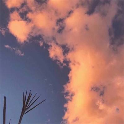 竞彩足球app官方手机app下载