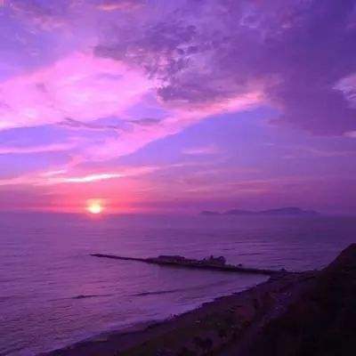 鸭脖app下载鸭脖官网