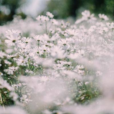 火狐体育APP手机app下载