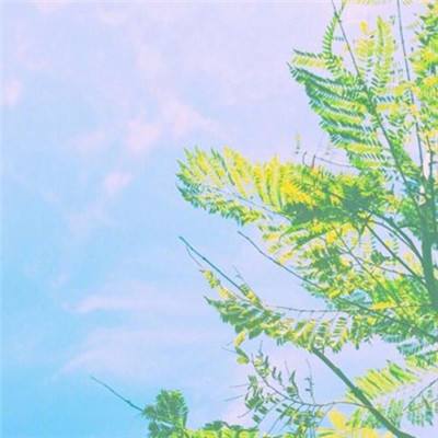 火狐电竞·huohu下载手机版