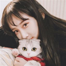 快三软件平台官方