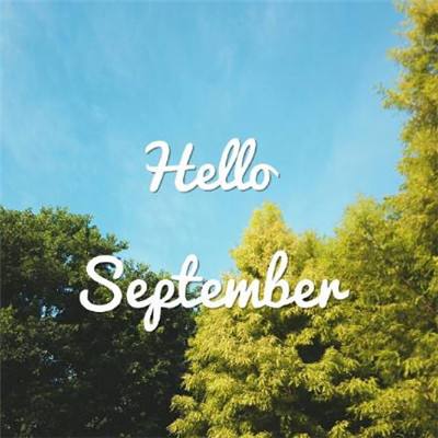 AG官方平台下载