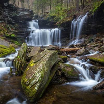 加拿大pc入口下载手机版