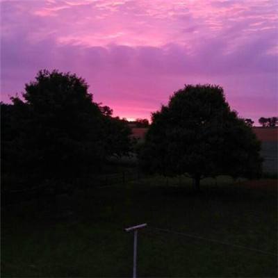 购彩中心下载手机版