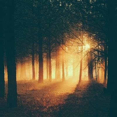 华体会登录手机版app下载