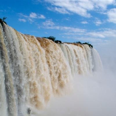 大发国际手机app下载