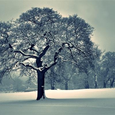 江南全站app下载官方网站截图