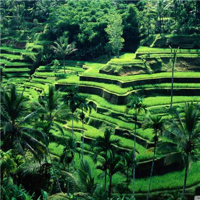 尊龙网址登录官网截图