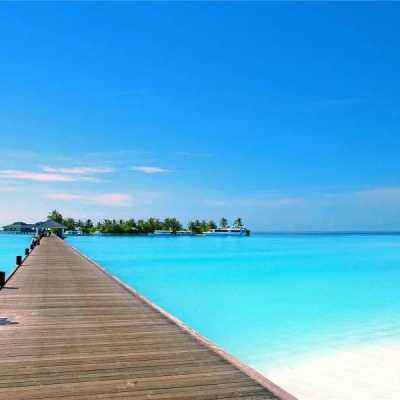 火狐体育APP体育手机app下载