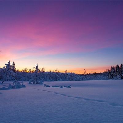 大发dafa888app下载