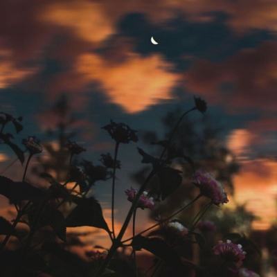 蛋蛋28开奖结果官方