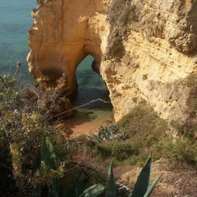 亿博·app官方网站