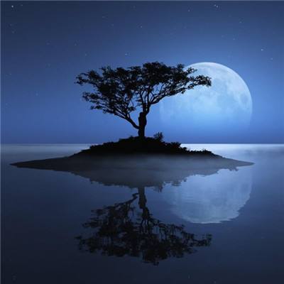 kok中欧登录入口app下载