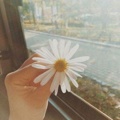 银河棋牌下载手机版