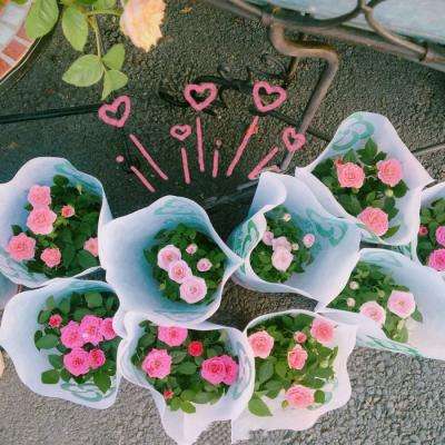 金沙集团9500官网