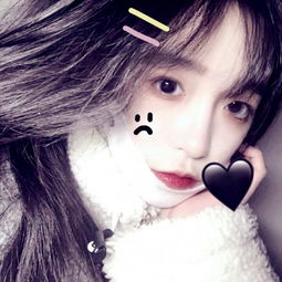 BOB·体育(中国)官方网站APP