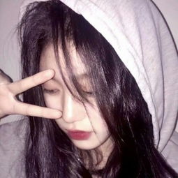 BOB体育综合入口app下载