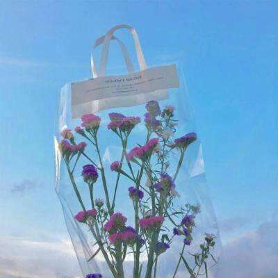 彩神lllv入口下载手机版