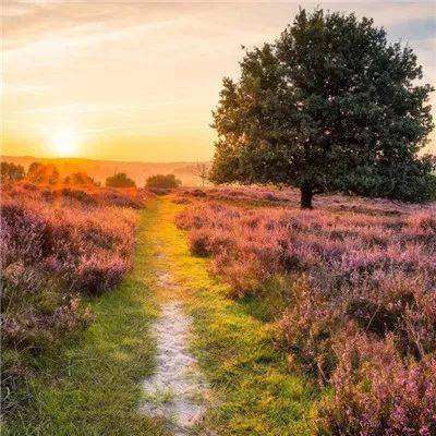 ManBetX网页版登录页面