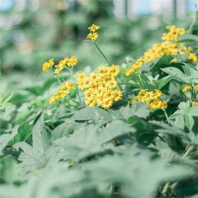 腾讯分分手机app下载