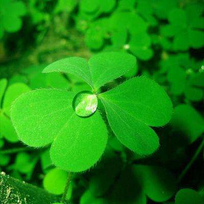 ROR体育官网登录入口手机app下载