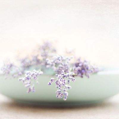 BOB体育登录入口APP下载ios