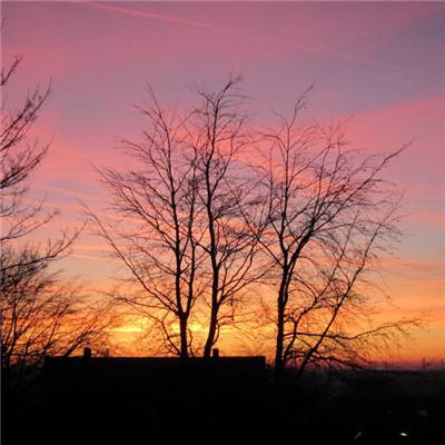 爱体育官方网站下载手机版