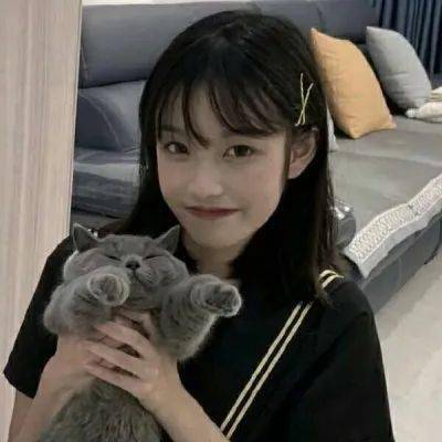 诺亚体育app下载安装手机版最新