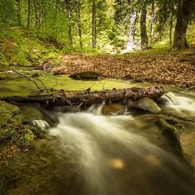 KOK·综合体育app