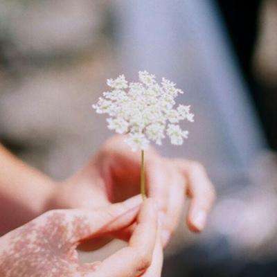 乐鱼全站官网在线登录