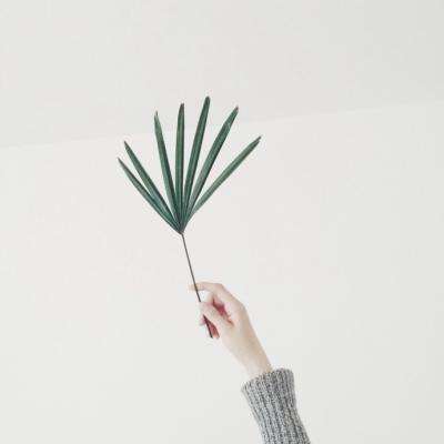 BOB体育综合官方平台APP