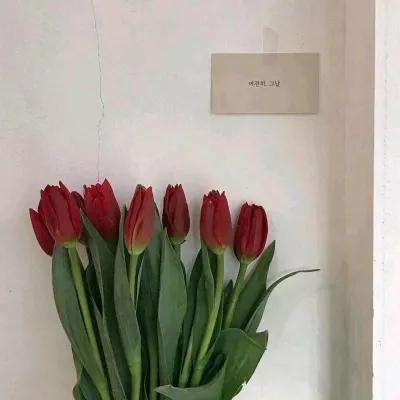 博鱼app下载(中国)官方网站截图