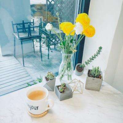 金星棋牌app下载