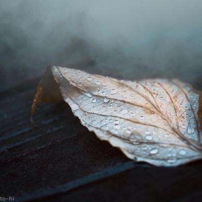 开元ky7818老版本