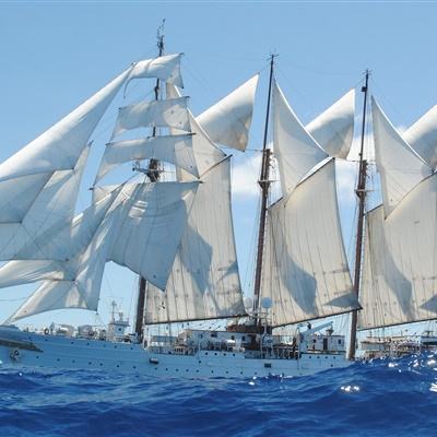 新188app官网下载