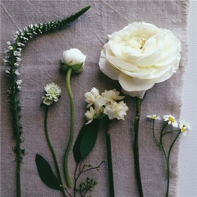 mg娱乐电子游戏官网