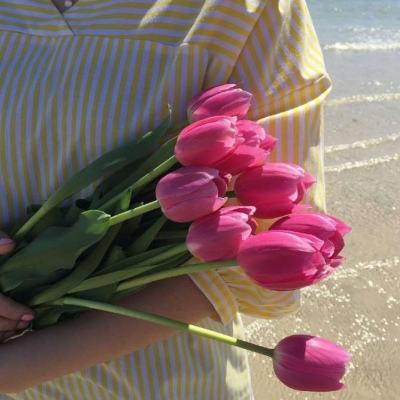 云开·棋牌官方网站