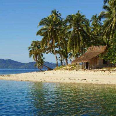 皇冠APP官方版下载安装