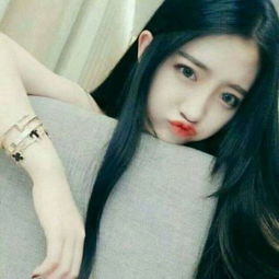 49图库一资料中心手机app下载